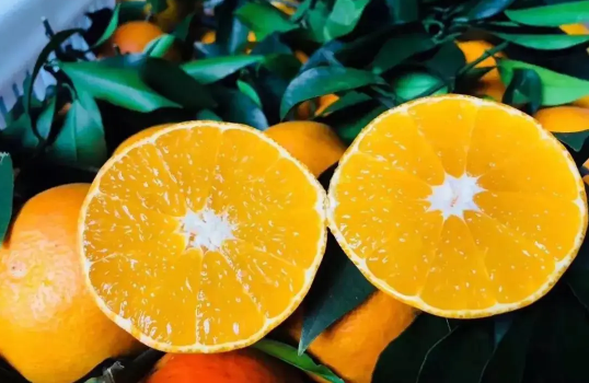 盐蒸橙子吃的是什么