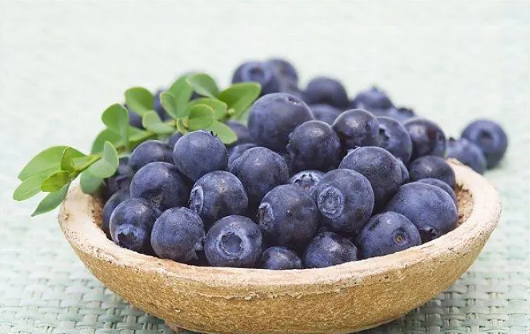 蓝莓可以用热水烫一下吃吗?