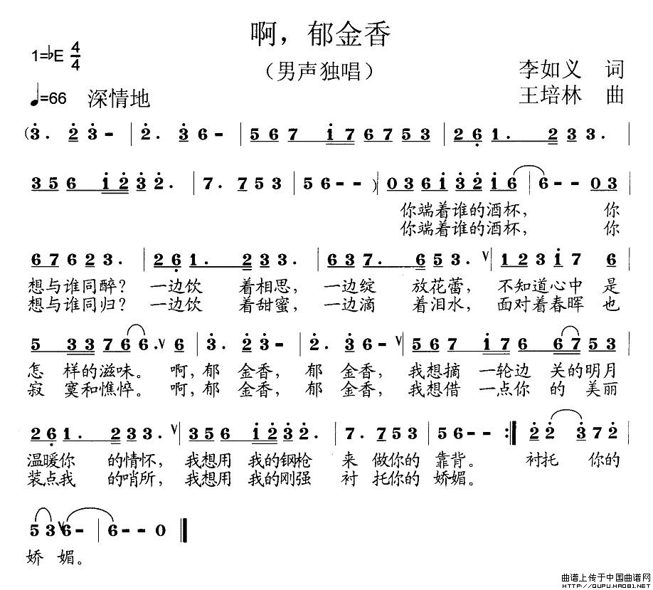 啊，郁金香（啊，郁金香11月4日曲谱分享）