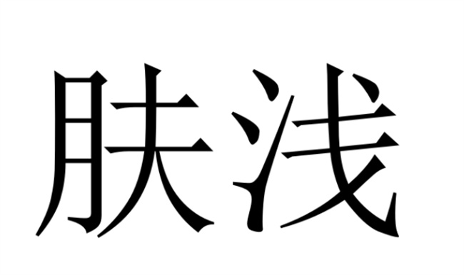 肤浅 的意思解释