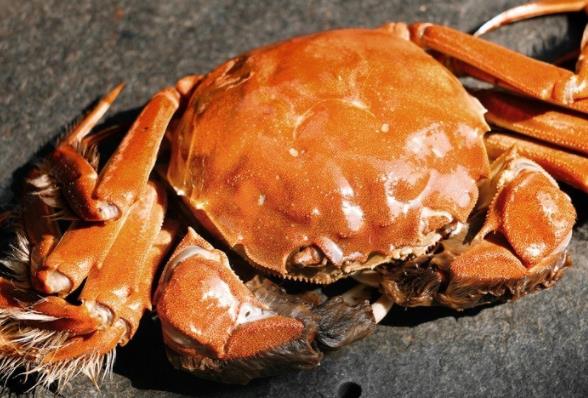螃蟹蒸多长时间最好吃 怎样蒸比较好