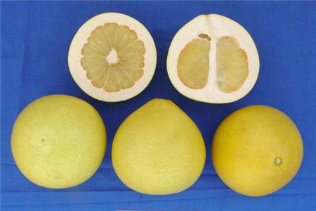 柚子的品种和名称有哪些