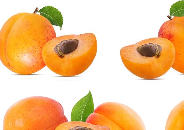 吃杏子有什么害处