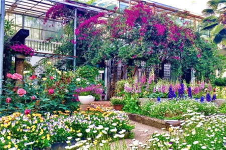68岁爷爷1万块打造最美私家花园老外都慕名而来！