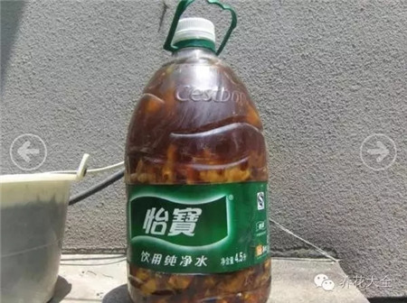 水果皮可以吃吗