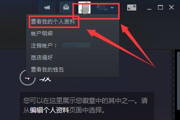 steam17位id在哪里看