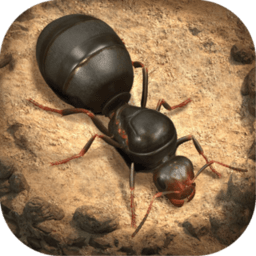 有个蚂蚁的游戏是什么