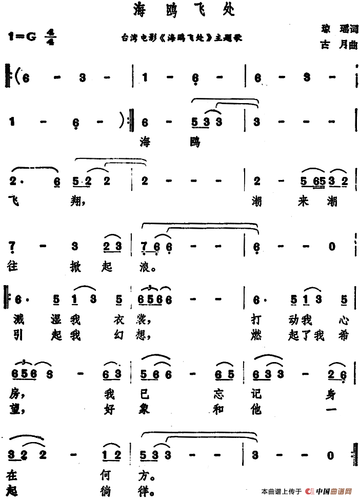 海鸥飞处（海鸥飞处5月1日曲谱分享）