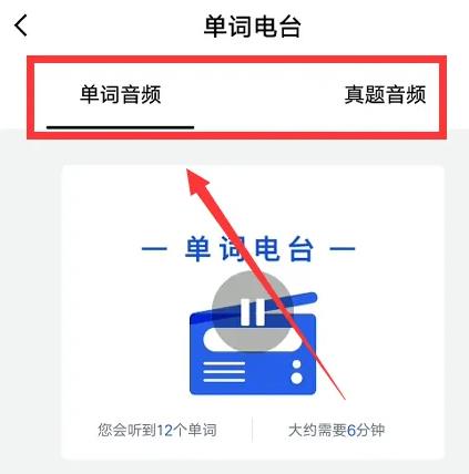 百词斩app可以自己播放吗